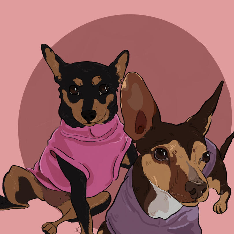 Untitled Pet Portrait
