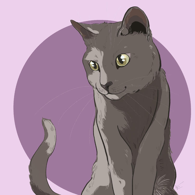 Untitled Pet Portrait